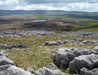 Theoldcourthouselimestonelandscape event.