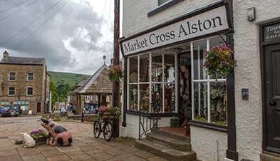 Alston planted bike photo by John Burrows Photography