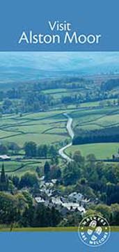 Alston mini guide