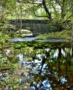 Shap Bridge