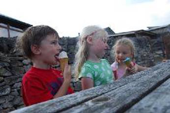 Abbott Lodge Jersey Ice Cream
