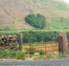 Orton heart shaped wood photo by Annie Hamilton-Gibney (ACTion with Communities in Cumbria)