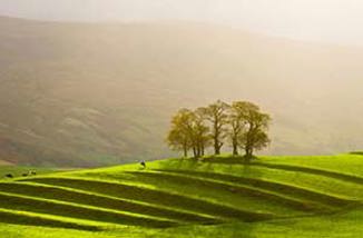 Kirkby Stephen photo by Dave Willis courtesy of the Cumbria Photo Library