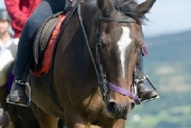 Horse rider photo by Dave Willis courtesy of the Cumbria Photo library