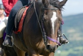 Horse Rider photo by Dave Willis courtesy of the Cumbria Photo Library