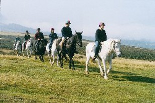 Horse Riders