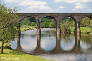 Bridge over the River Eden photo by Tony West courtesy of the Nurture Eden Photo Library