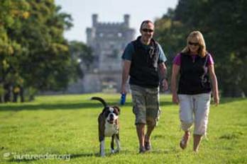 Coupel walking at Lowther Castle photo by Tony West courtesy of the Nurture Eden Photo Library