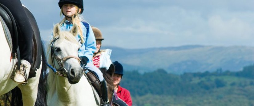 Horse Riding