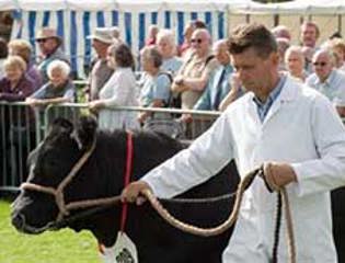 Agricultural Show