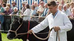 Agricultural Show)