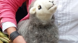 Needlefelt course)
