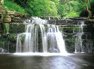 Ashgill Force