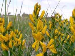 Cliburn Moss Nature Reserve