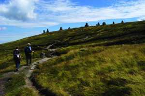 Nine Standards Rigg