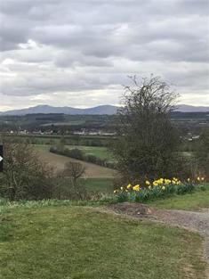 Eden Valley Daffodil Walk
