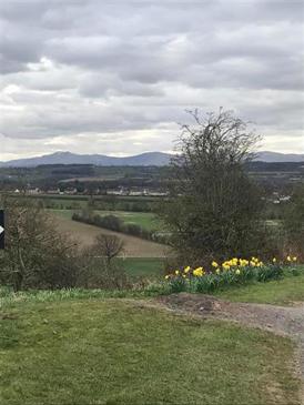 Eden Valley Daffodil Walk
