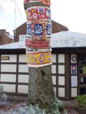 Penrith Museum tree dressing