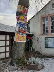 Penrith Museum tree dressing