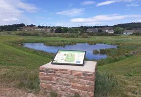 Thacka Beck Nature Reserve