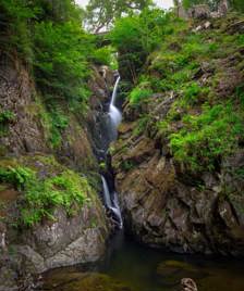 Aira Force