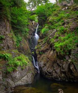 Aira Force