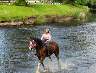 ApplebyHorseFairAltHelenShaw.jpg event.