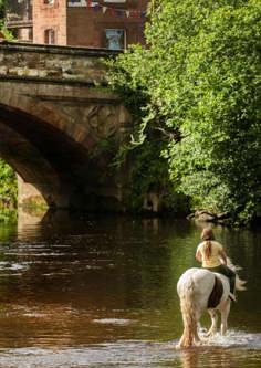 Appleby Horse Fair river photo by Helen Shaw www.malkinphotography.co.uk