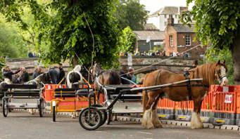 Appleby Horse Fair photo by Helen Shaw www.malkinphotography.co.uk