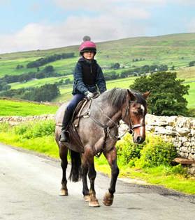Horse rider photo by Helen Shaw www.malkinphotography.co.uk