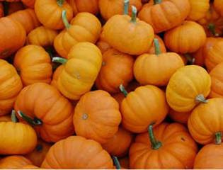 Pumpkins event.