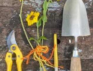 Quirkyworkshopsgardening event.